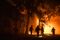Historic Evacuation Ordered in Sonoma County on Fire Risks