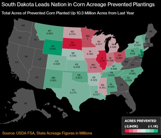 Corn Futures Post Worst Rout Since 2013 on U.S. Acreage Surprise