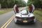 cars-mclaren-570-gt-review-bloomberg-05