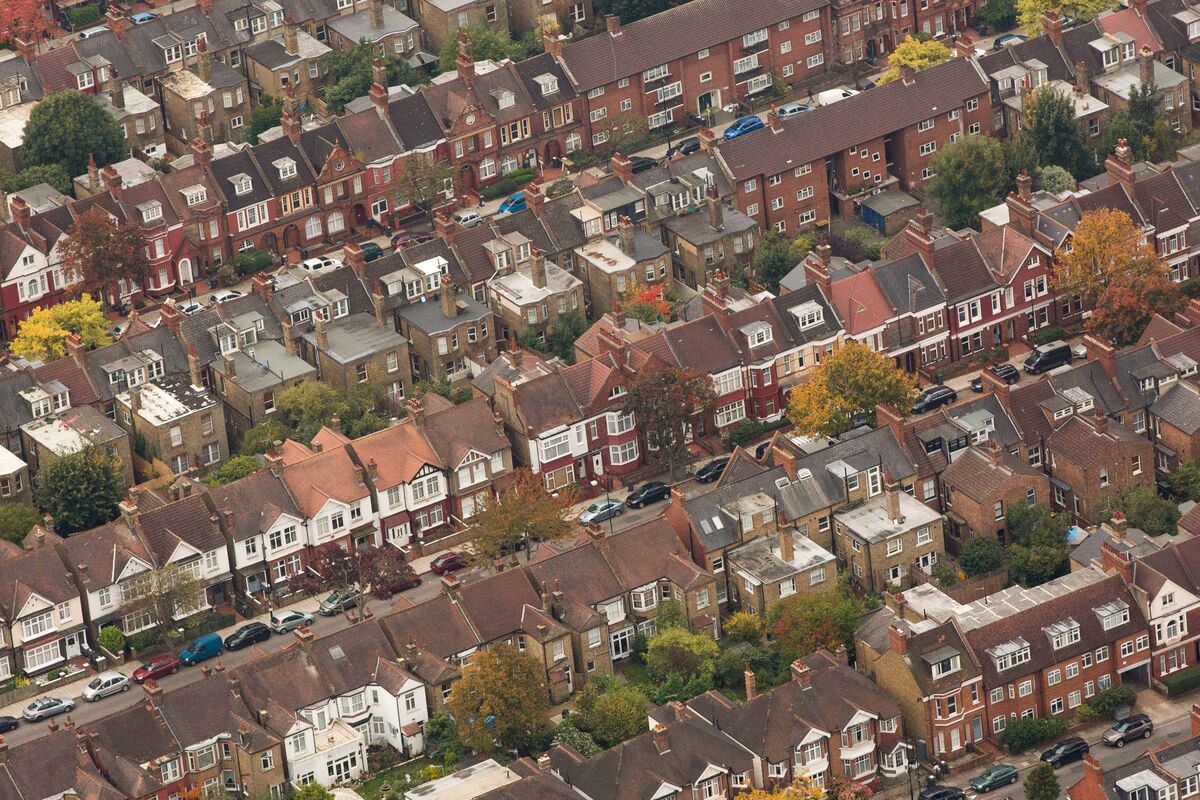 🟪"Successo Immobiliare: Il Maggiore Proprietario Residenziale in Gran Bretagna Aumenta il Dividendo grazie a Entrate Record"