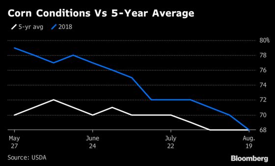 The Current State of U.S. Crops, in Charts