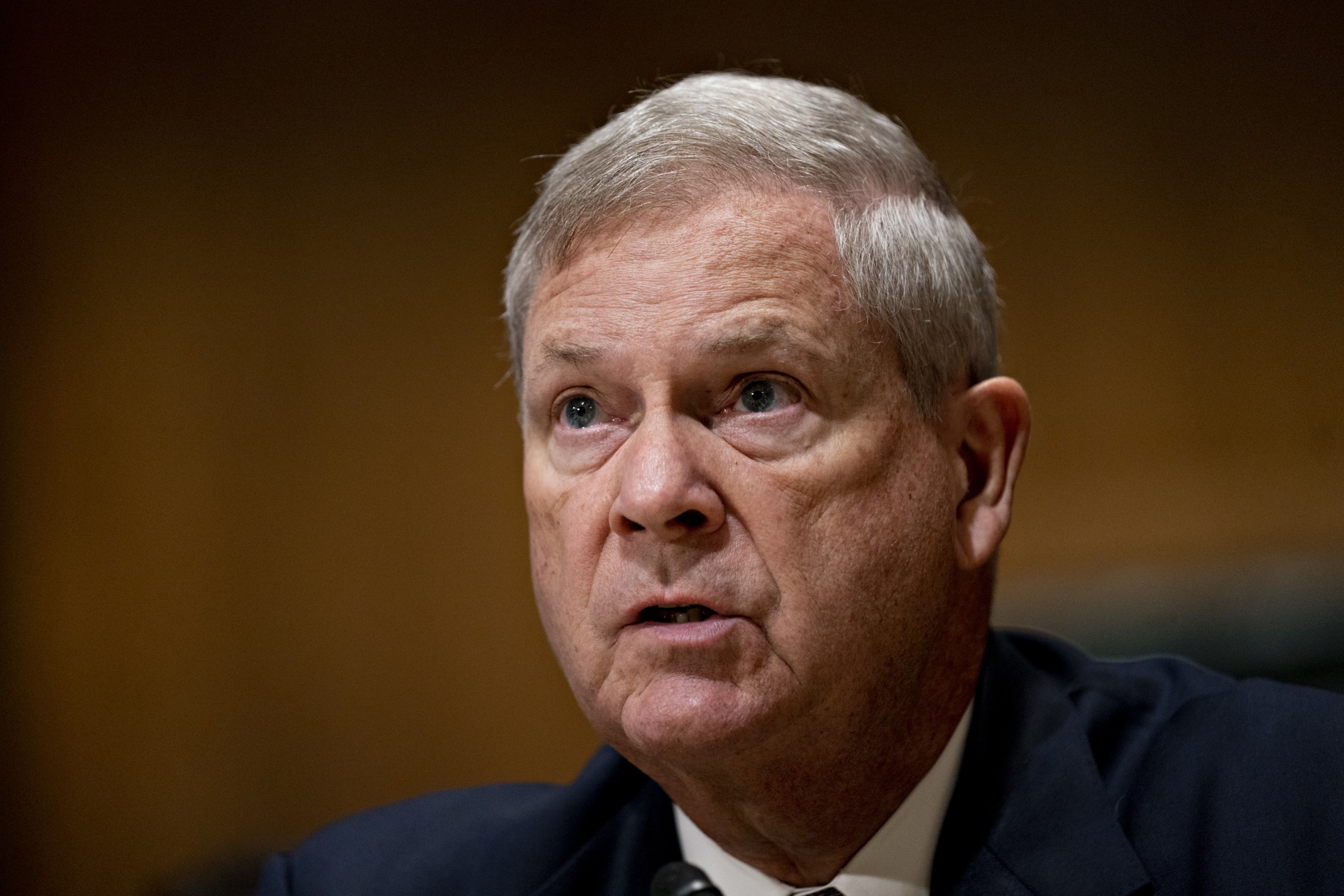 Senate Confirms Vilsack As Biden’s Secretary Of Agriculture - Bloomberg