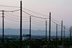 Buffett's Nevada Utility Offers One Customer Millions to Stay