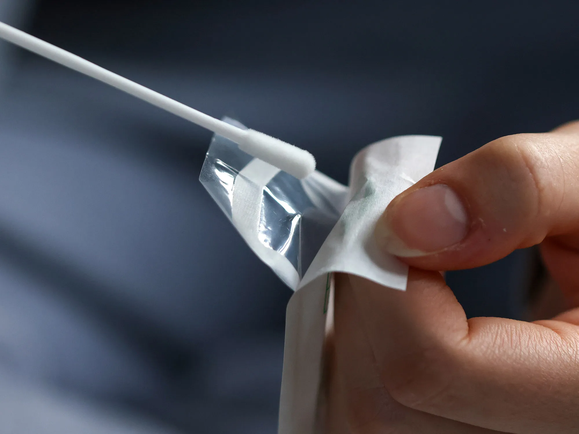 A cotton swab from a Covid-19 self-test kit.