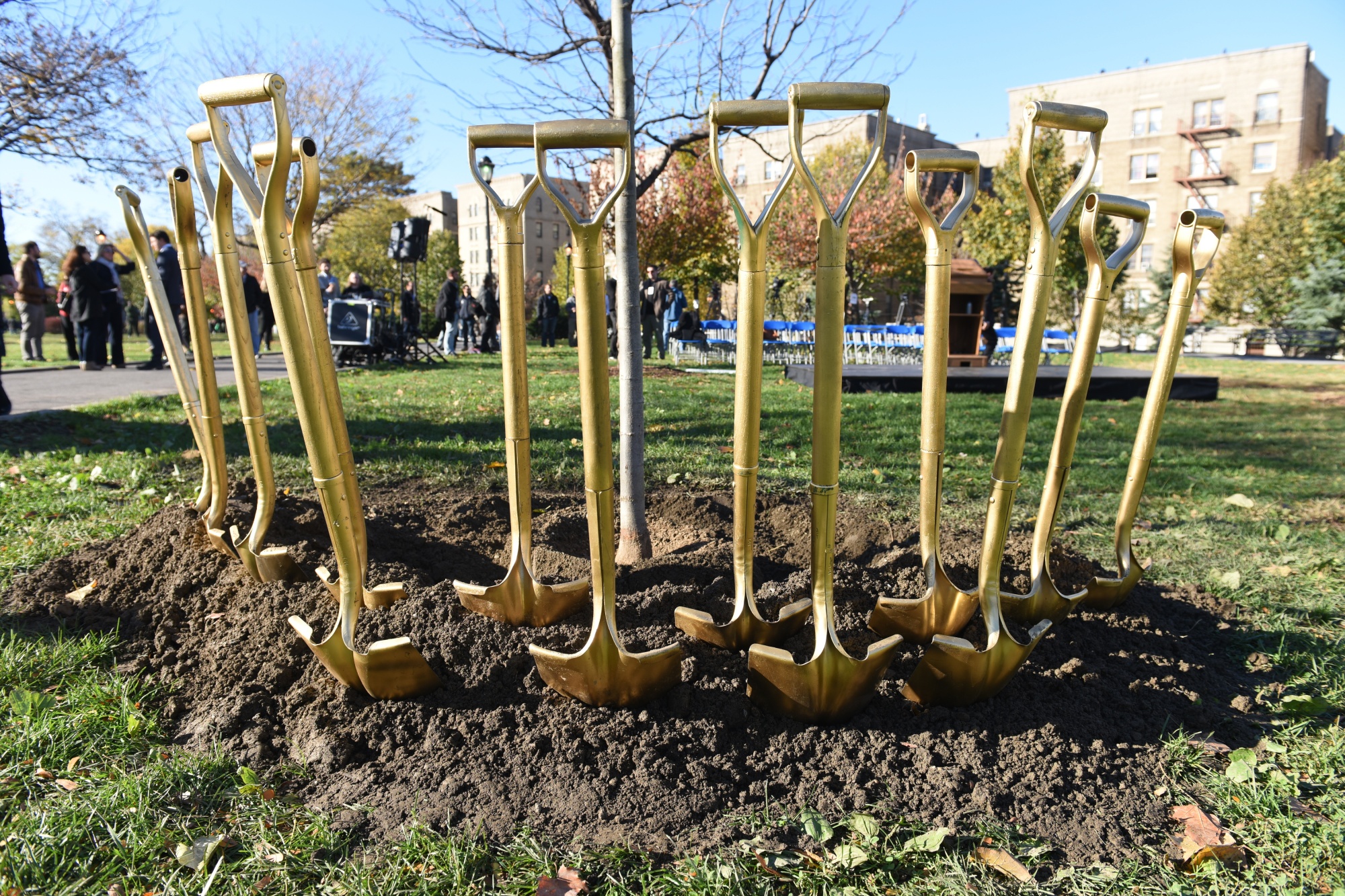 Planting City Trees With a New Focus on Equity - Bloomberg