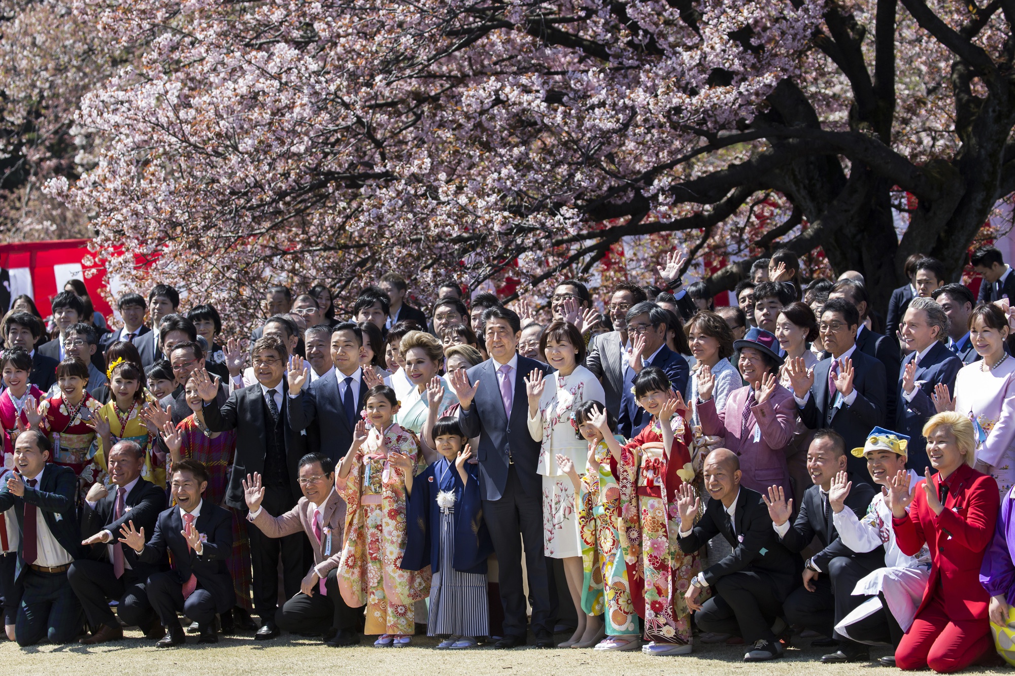 National Cherry Blossom Festival cancellations mean less available