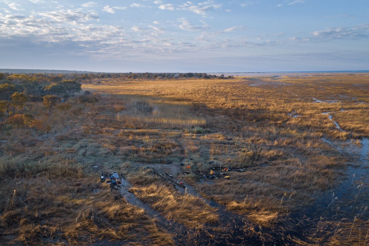 Angola’s Peatlands Raise Hopes for More Hidden Carbon Sinks in Africa