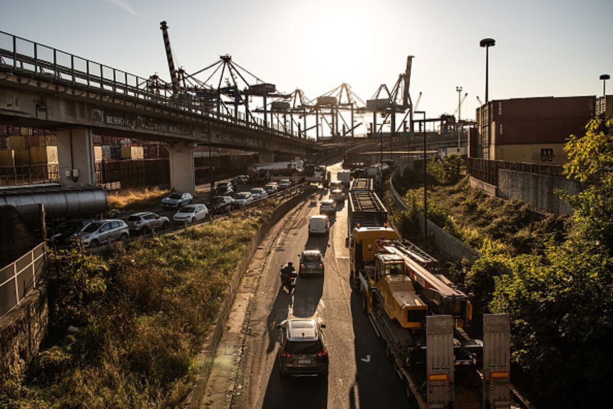 Italy’s Buffalo Mozzarella Production Halted by Trucker Protests