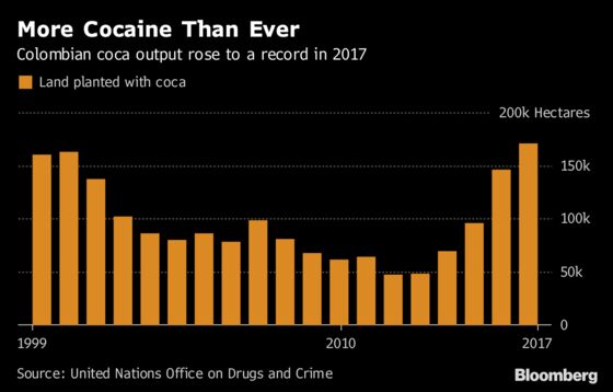 Colombia Cocaine Output Soars to Clinton-Era Peaks, Defying U.S.