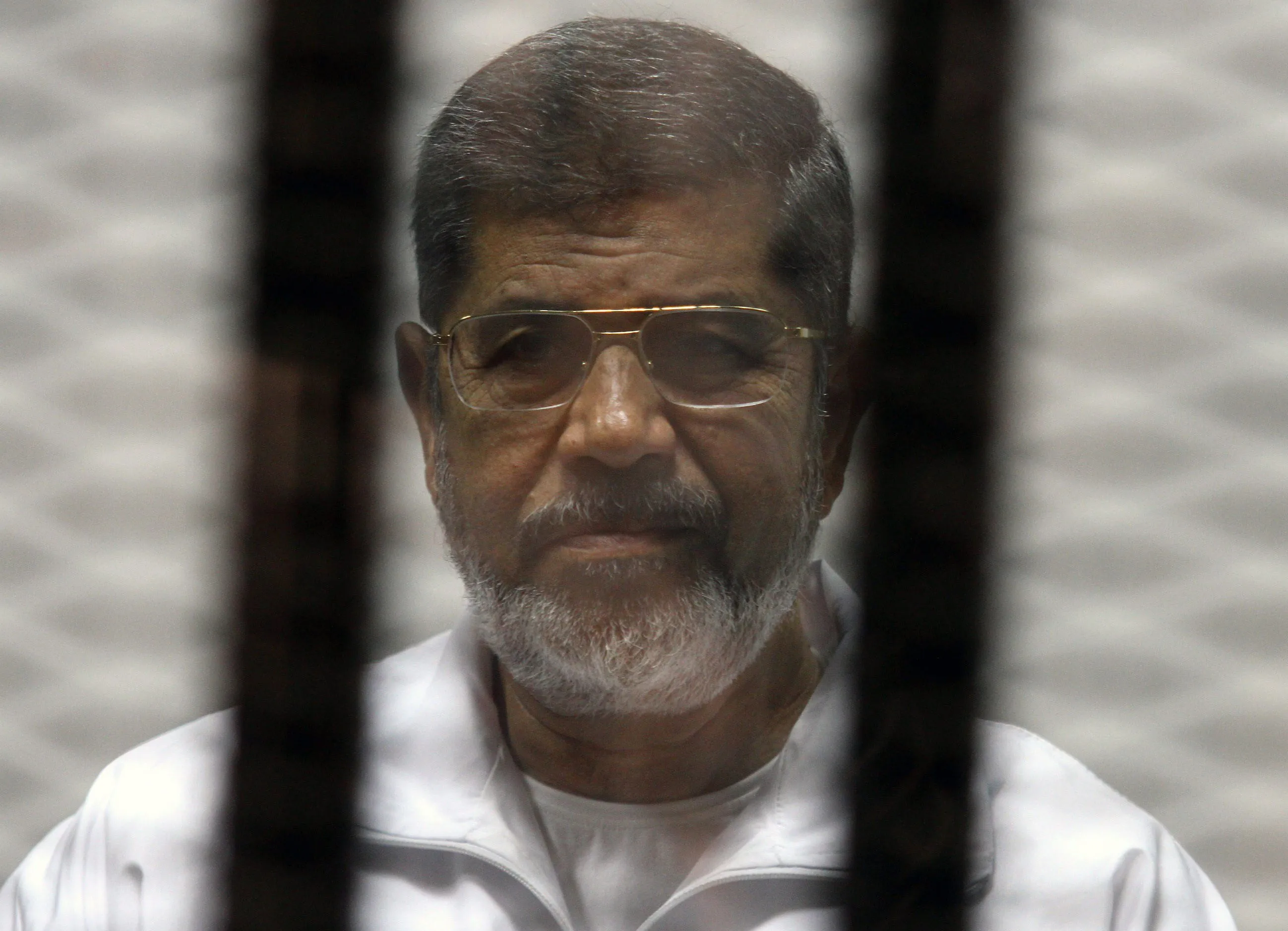 Mohamed Mursi&nbsp;in 2014.
