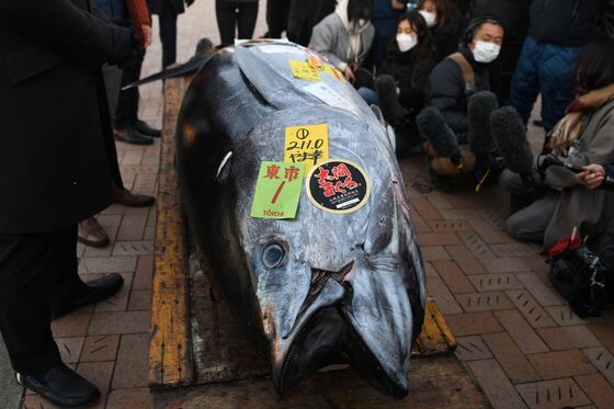 Tuna Sold for $145,290 in Tokyo Is Still Third Straight Drop
