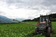 Japan's Fairytale Farmers Face Biggest Shakeup Since MacArthur