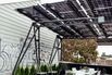 Solar Panels Absorb the Sun So You Don't Have to
