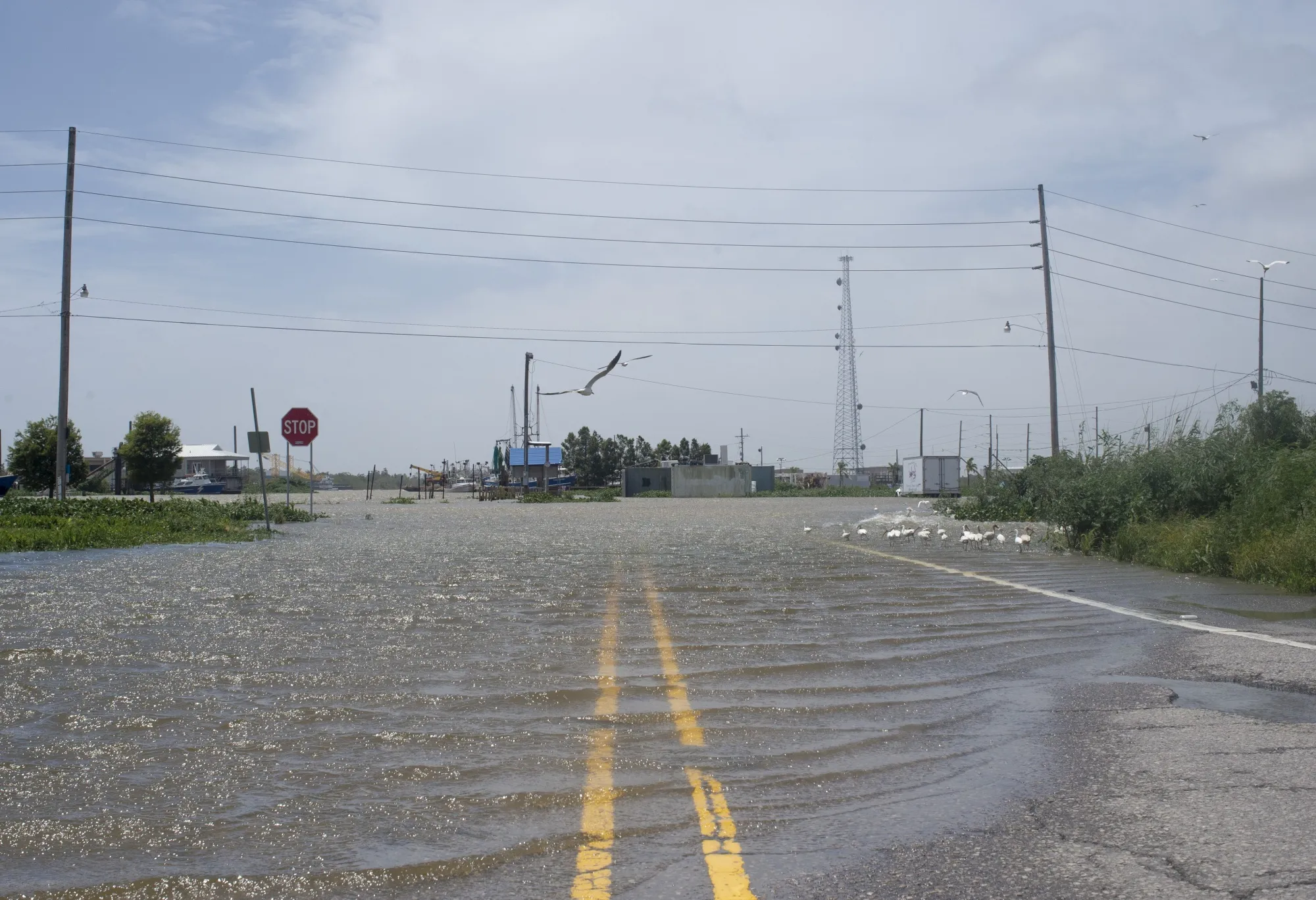 The Mississippi River overflows onto a street in&nbsp;New Orleans, Louisiana on July 12, 2019.