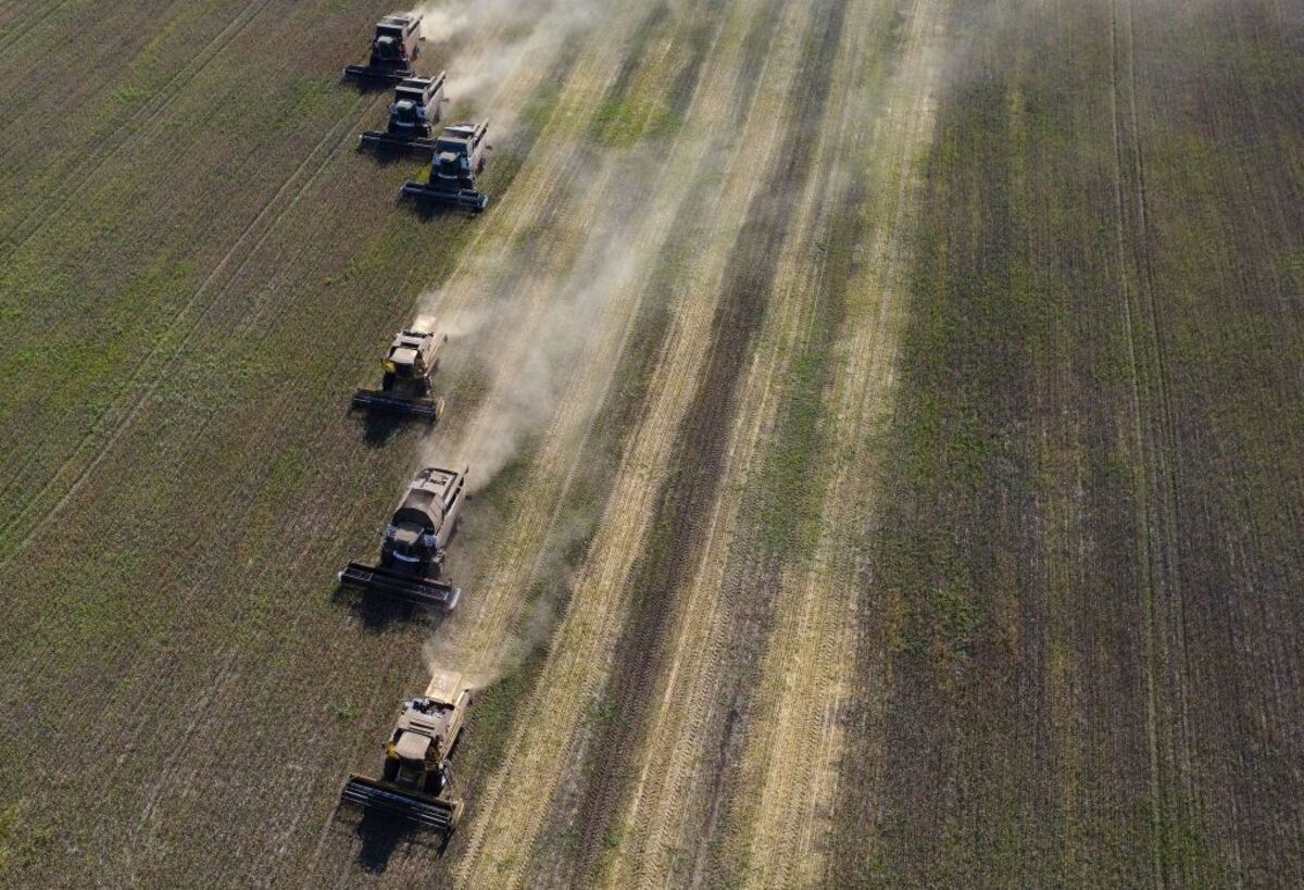 Breadbasket States Ukraine and Russia Hammered by War and Heat