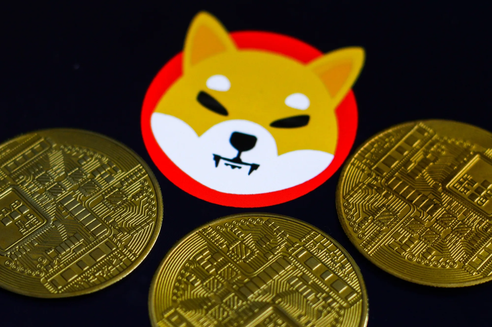 Shiba Inu Cryptocurrency Photo Illustrations