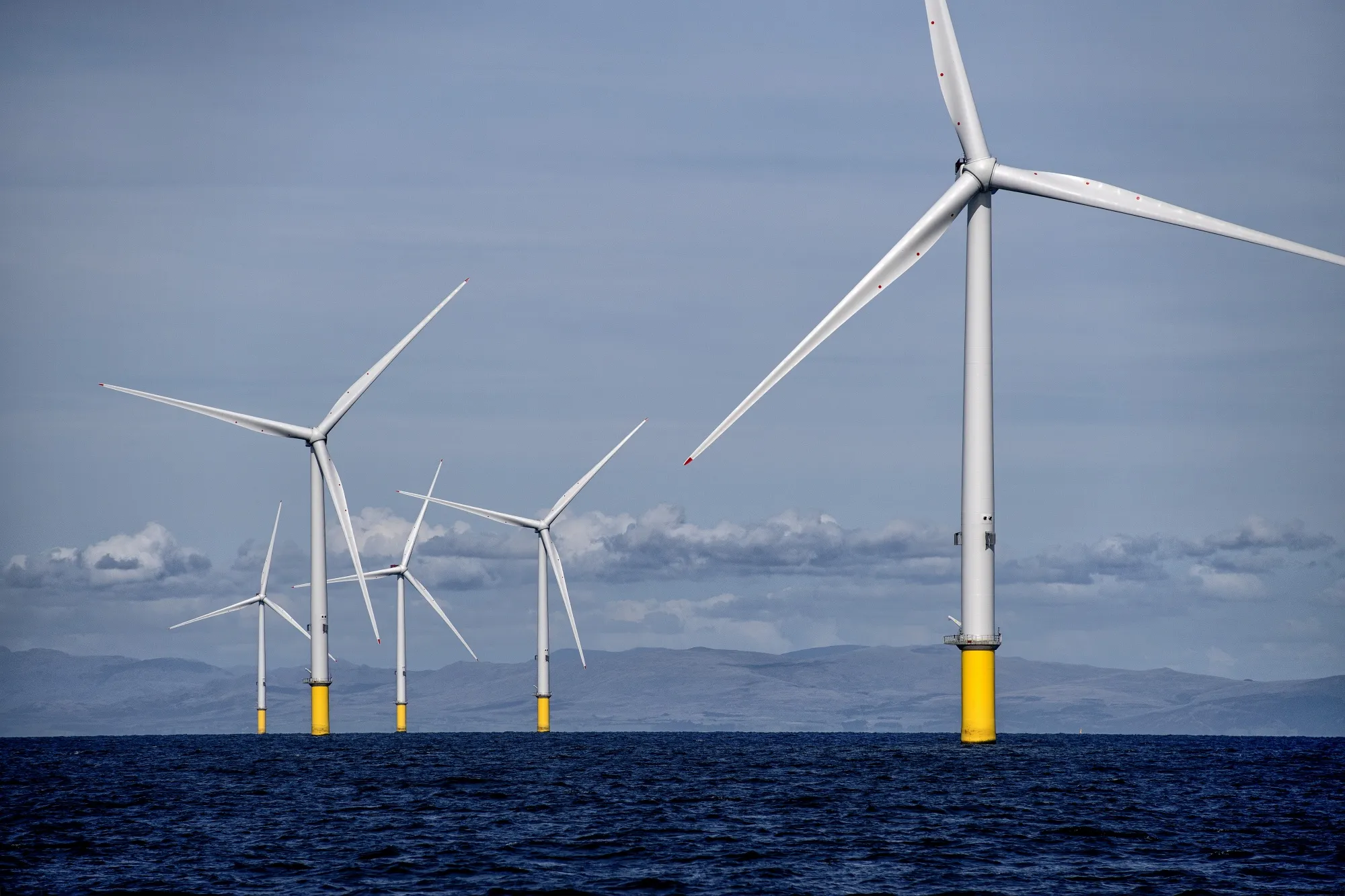 An Orsted wind farm.&nbsp;