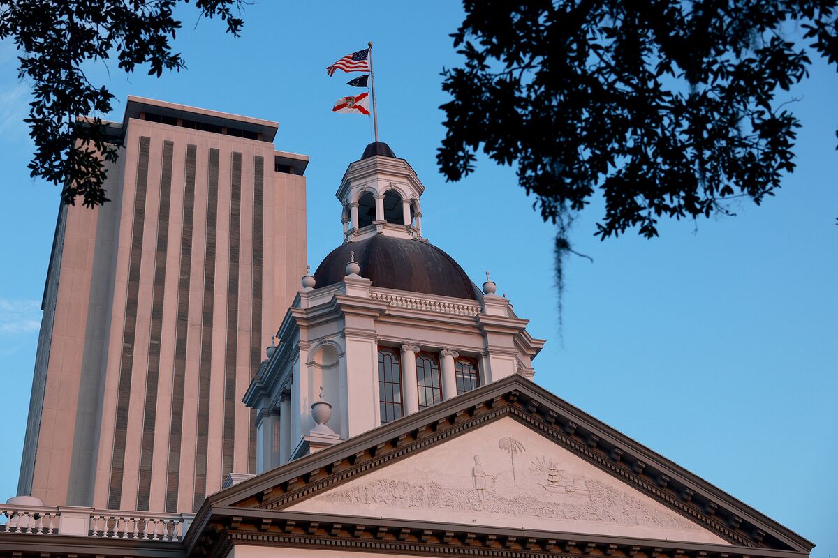 🟪"Stati del Sud USA: Florida, Carolina del Nord e Texas in testa con punteggi di credito eccellenti secondo Moody's"