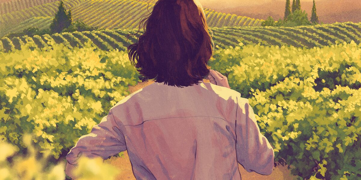 bloomberg.com - Elin McCoy - How to Buy a Vineyard While Prices Are Down