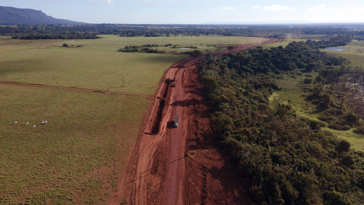 Why Bolivia Is Now a Hotbed of Amazon Deforestation