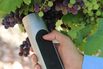 A Magic Wand to Take the Guesswork Out of Winemaking