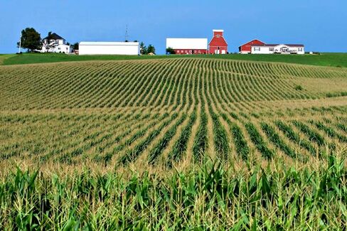 Iowa Farmland Values Hit a Record High
