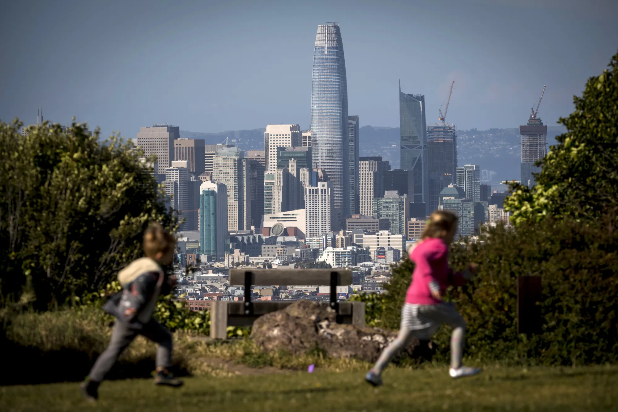 The San Francisco skyline.
