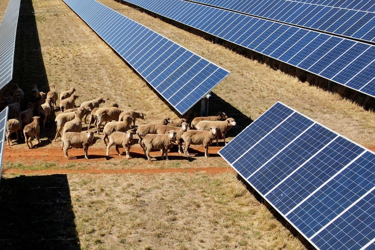 Rise of Renewables and EVs in Australia Is Trimming Emissions