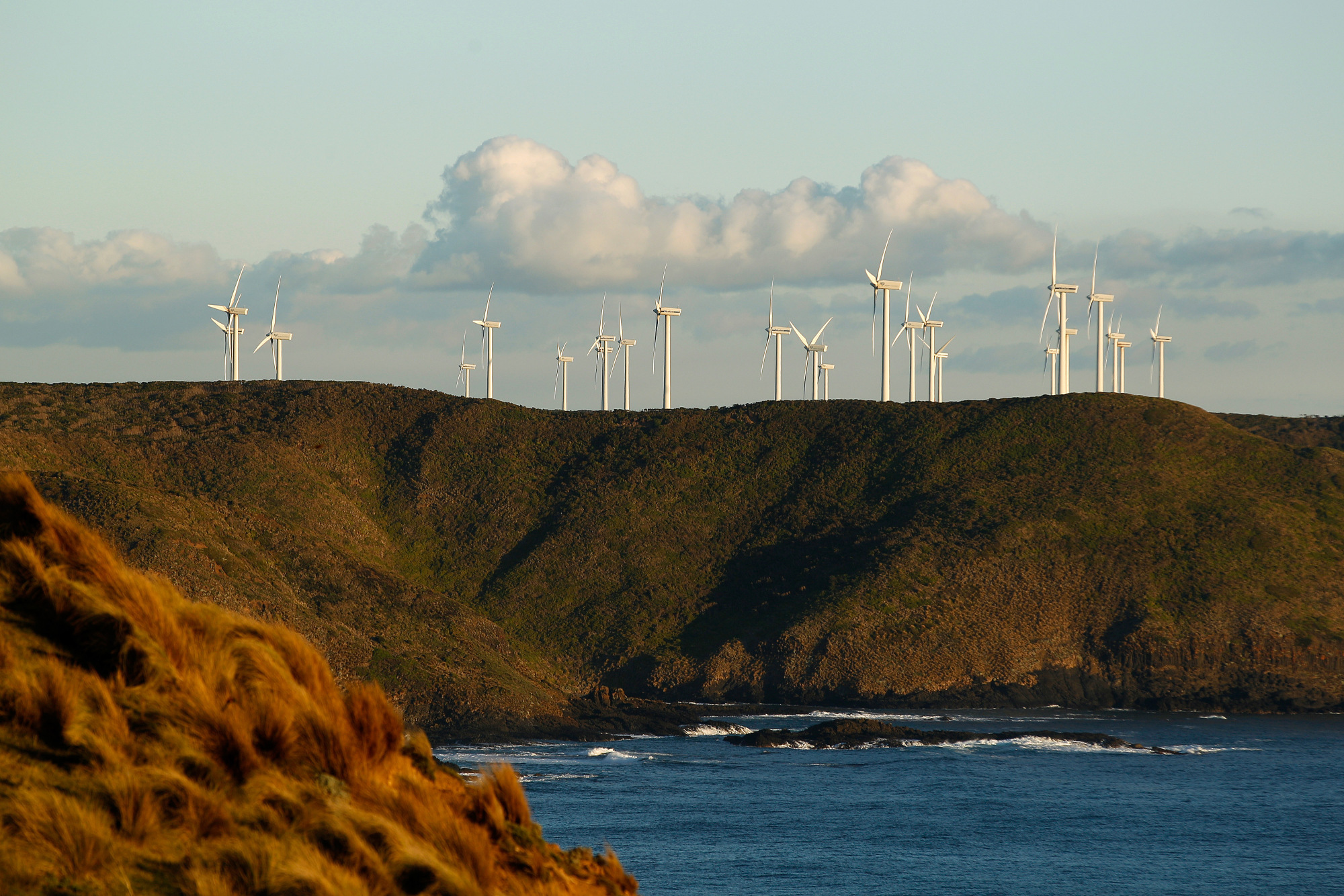 Wind turbines in Woolnorth, Tasmania, Australia.
