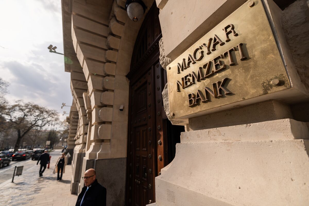 🟪"Zoltan Kurali: Nuovo Vice Governatore della Banca Nazionale d'Ungheria"
