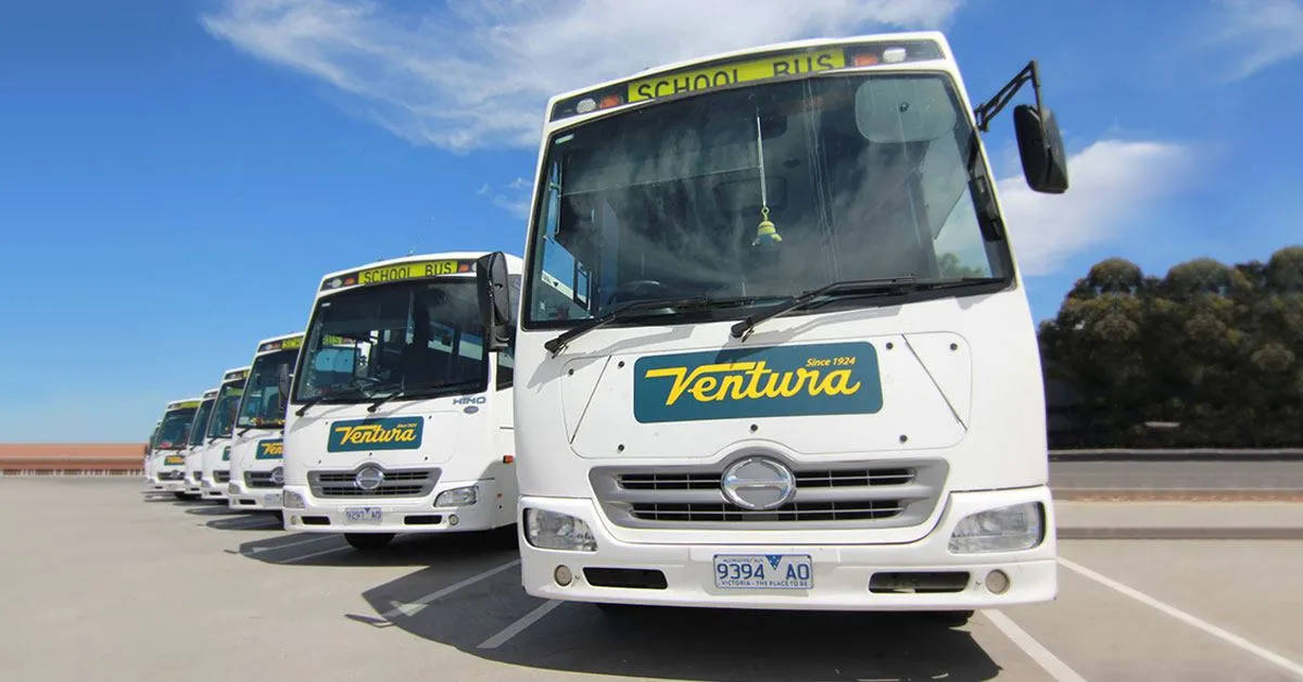 Ventura school busses.