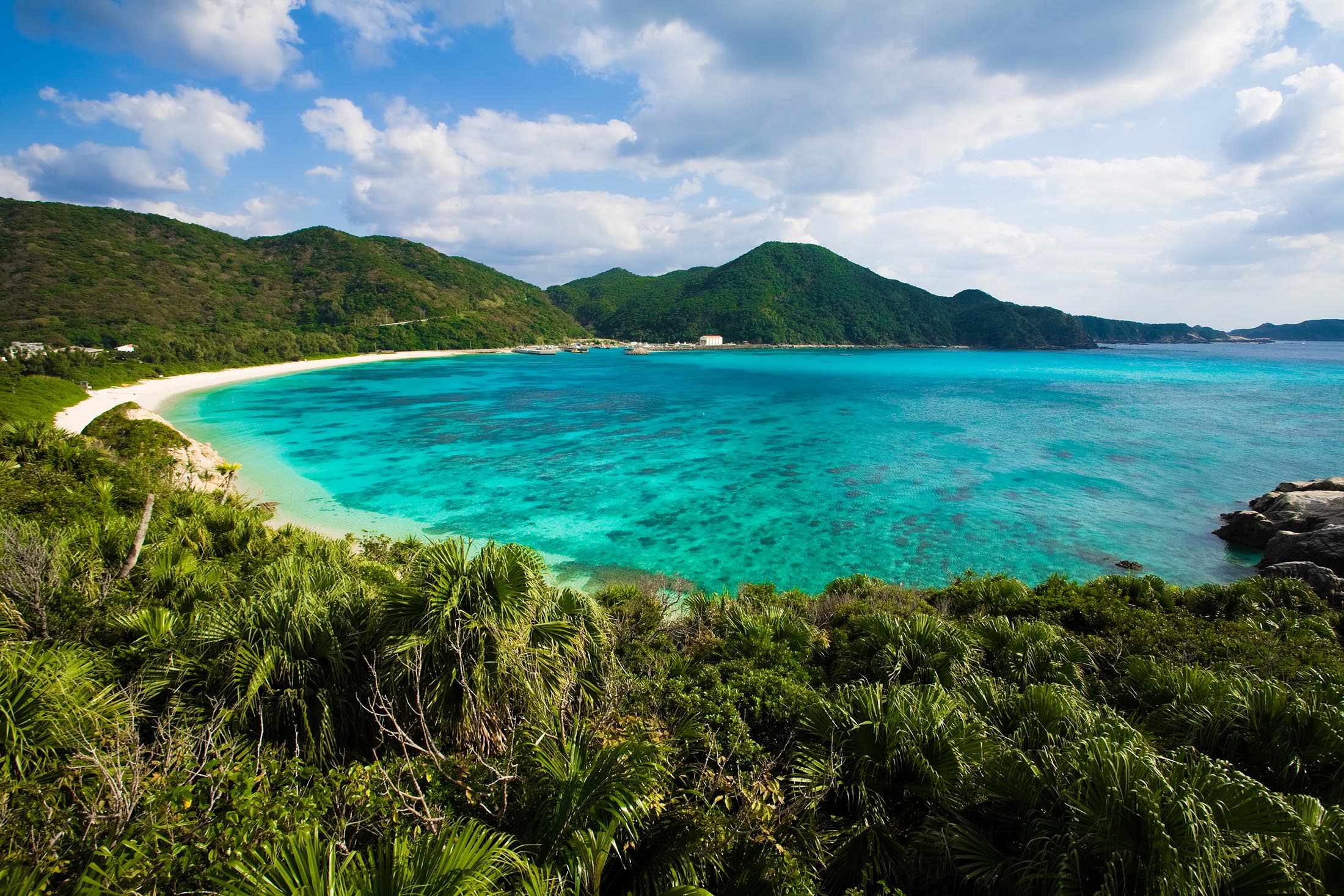 ryukyu-islands-japan-photo-travel-guide-okinawa-iriomote-yakushima