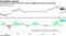 Increasing correlation with CTA returns suggests growing long positions