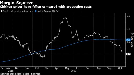 Brazil’s Chicken Farmers Feel the Squeeze 