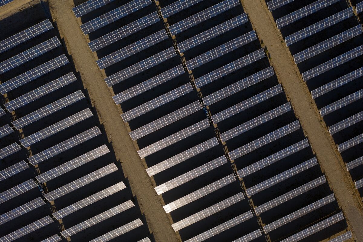 US Solar Is Thriving in the Face of Trump’s Tariffs