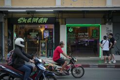 Thai Cannabis Groups Rally Against Plan to Relist Plant as Drug