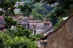 Trees and Londoners co-exist in a southeast suburb of the capital.