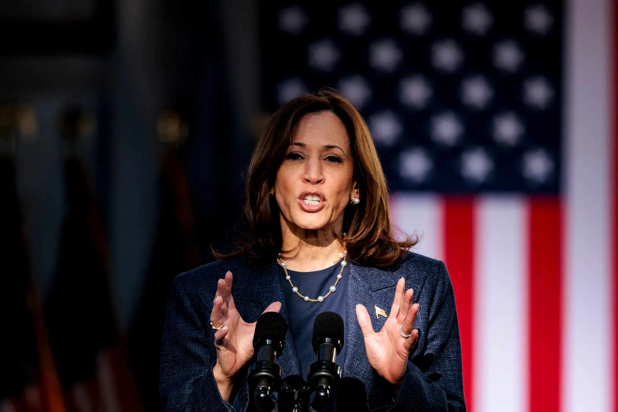 Vice President Kamala Harris