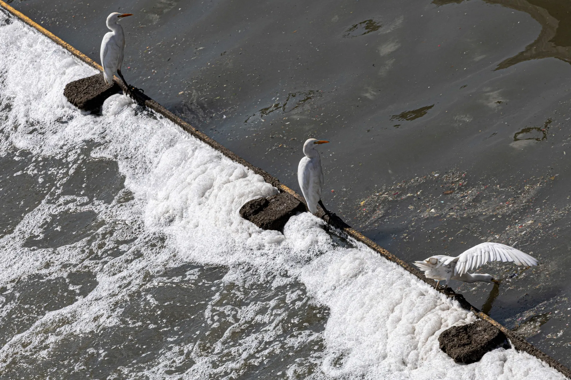 Full of …&nbsp;data.