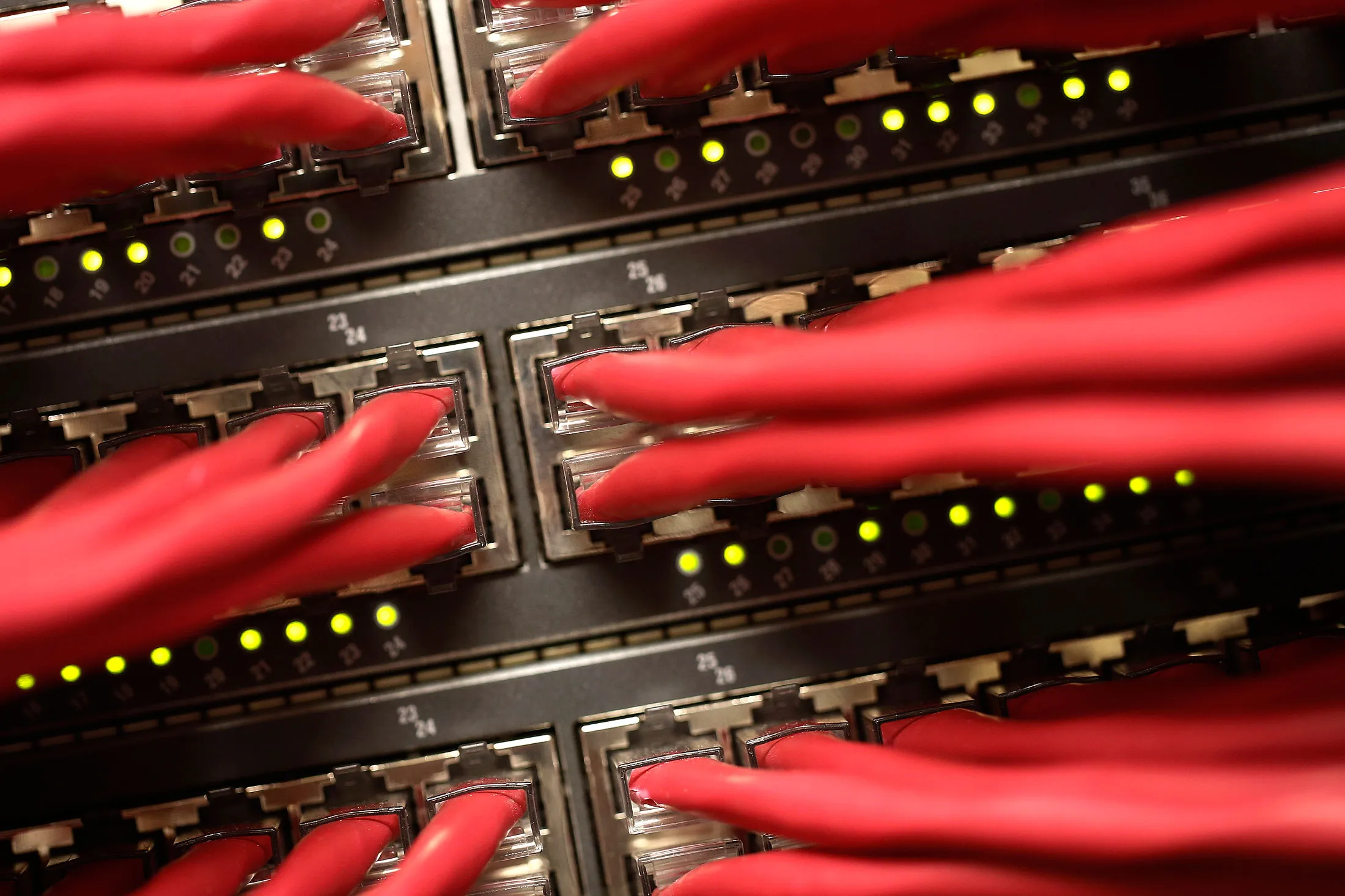 High End Data Cables Feed Into Servers
