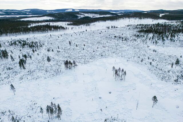 Forest clearing in Sweden