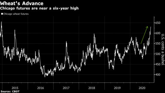 Wheat’s Drought Battle and Surging Demand: Why Prices Are Flying