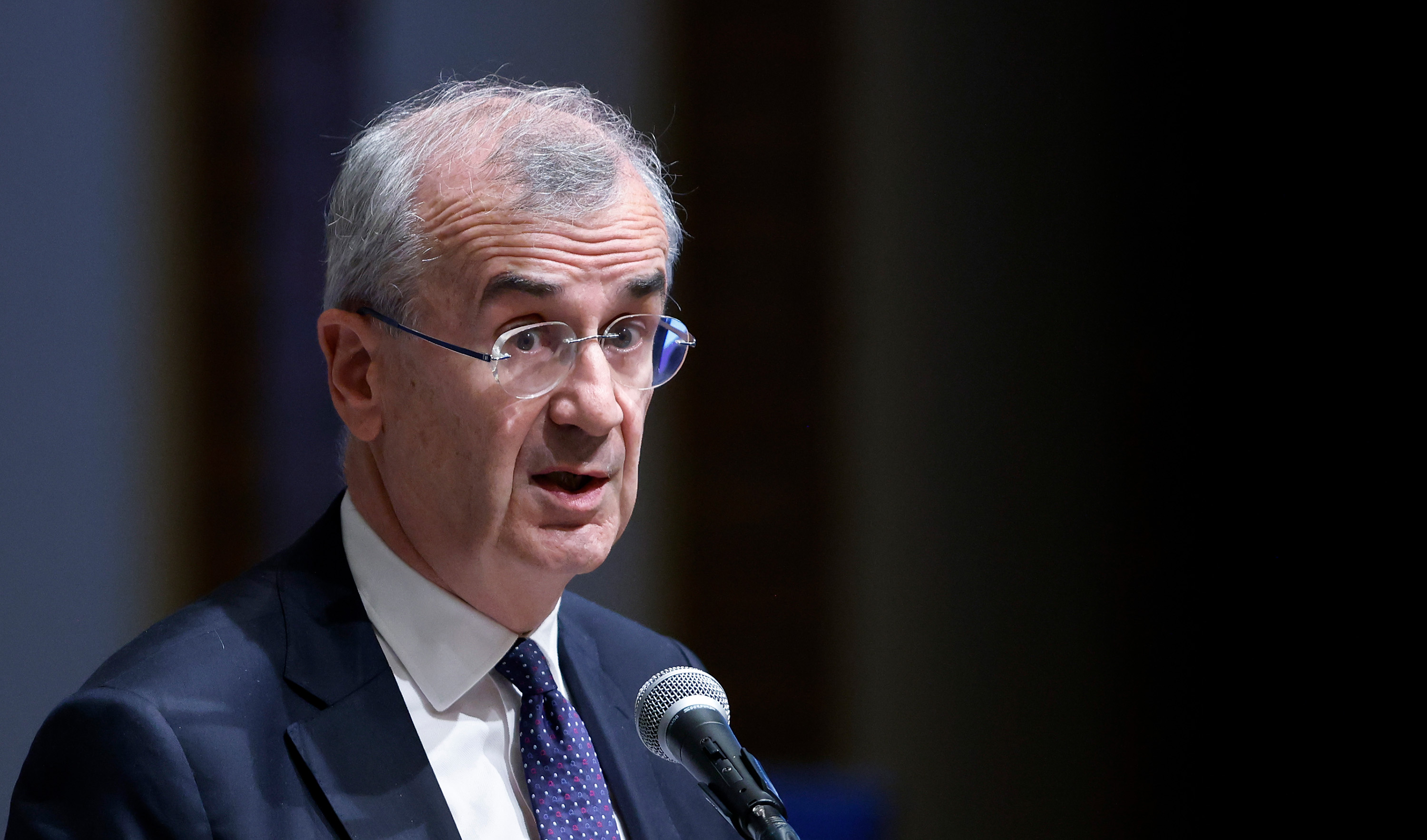 ECB Will Probably Cut Rates This Year, Villeroy Says Bloomberg