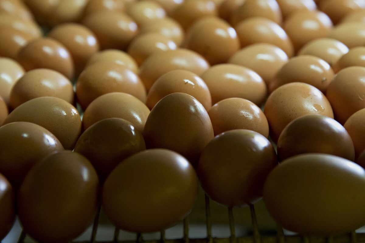 New York Accuses Top U.S. Egg Producer Hillandale Farms of Covid Price