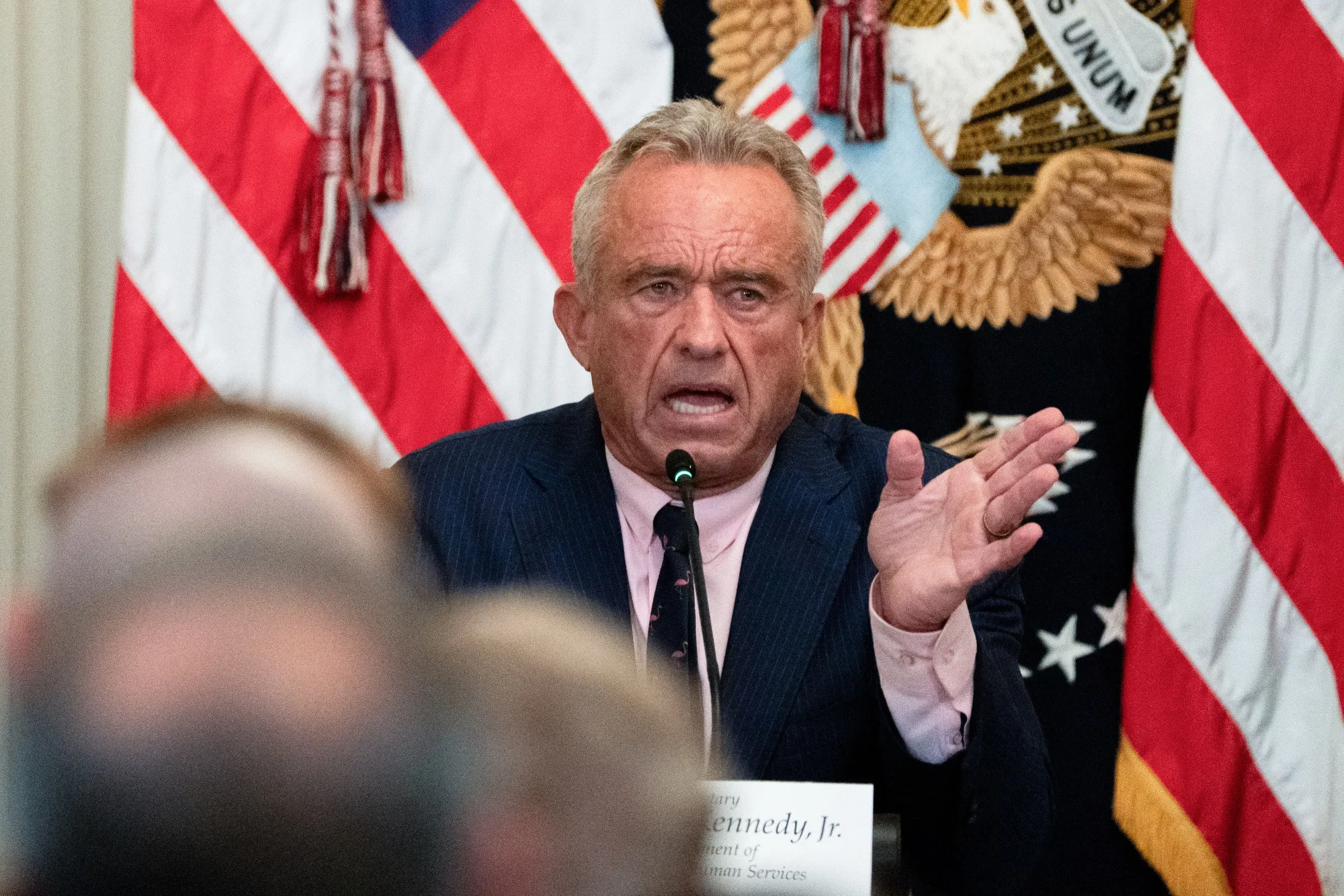 US Health Secretary Robert F. Kennedy Jr.