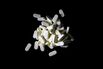 New England Towns Struggle With Opioid And Heroin Epidemic