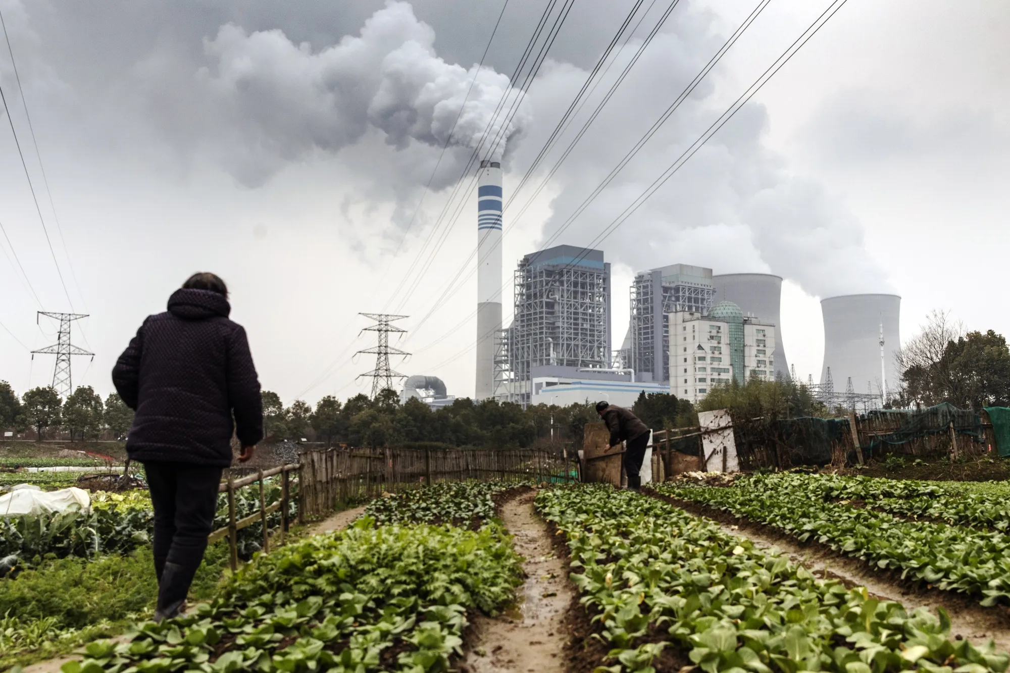 People tend to vegetables near cooling towers of&nbsp;a coal-fired power station in Tongling, Anhui province, China.