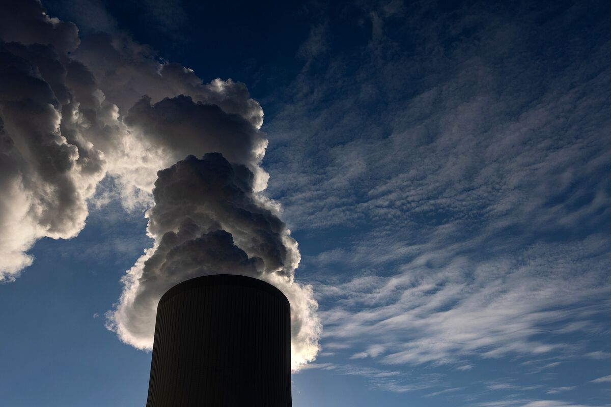 Carbon Credits to be Listed on Zimbabwe Exchange as State Upends Trade ...