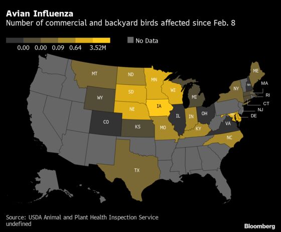 Bird Flu in Top U.S. Egg Region Boosts Processed Food Prices