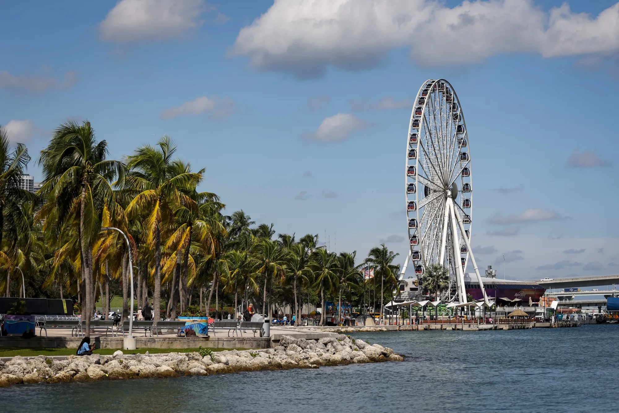Miami Inflation Ranks Highest in the US as Newcomers Boost Prices 